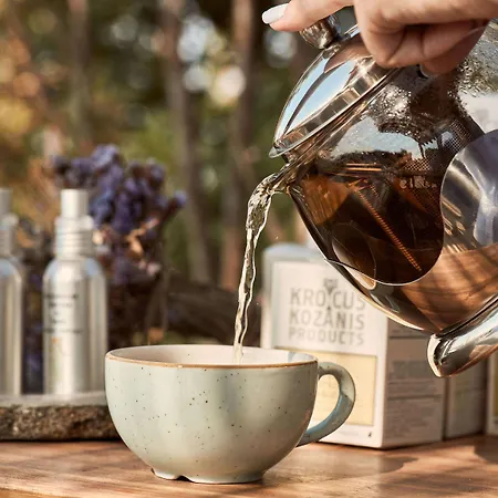 Diles & Rinies Вилла Тинос