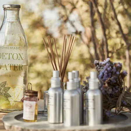 Вилла Diles & Rinies Тинос