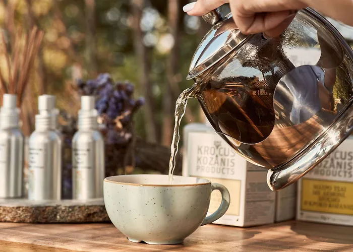 Diles & Rinies Villa Tínos