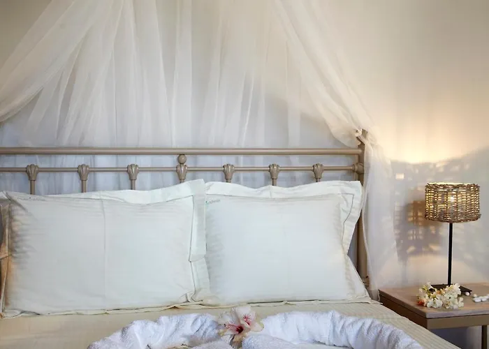 Villa Diles & Rinies Tínos