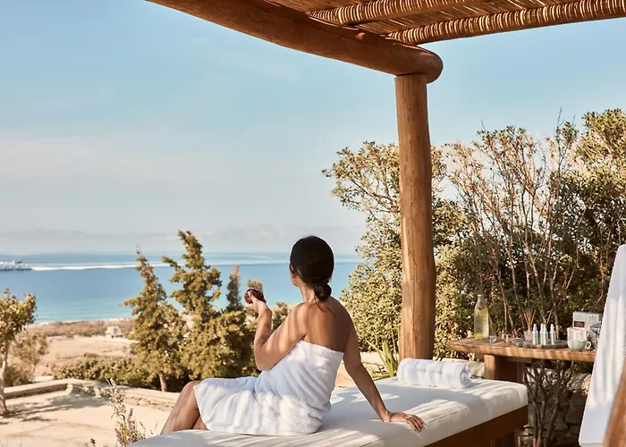 Diles & Rinies Villa Tínos