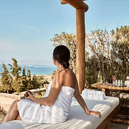 Diles & Rinies Villa Tinos