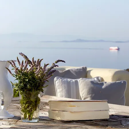 Diles & Rinies Villa Tinos